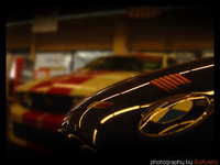 Click image for larger version

Name:	Mustang4.jpg
Views:	77
Size:	94.8 KB
ID:	253510