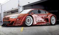 Click image for larger version

Name:	citroenc5dtm.jpg
Views:	218
Size:	113.5 KB
ID:	1751728