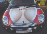 Click image for larger version

Name:	car_painting01_750.jpg
Views:	244
Size:	24.8 KB
ID:	27914