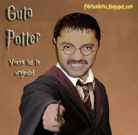 Click image for larger version

Name:	nicolae_guta_potter.jpg
Views:	101
Size:	120.8 KB
ID:	730632