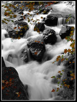 Click image for larger version
Name: Shogun-A8.jpg
Views: 273
Size: 903.1 KB
ID: 762210