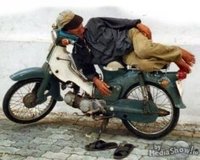 Click image for larger version

Name:	scooter-sleep.jpg
Views:	87
Size:	32.6 KB
ID:	1298444