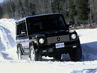 Click image for larger version

Name:	amg 3.jpg
Views:	63
Size:	133.7 KB
ID:	1232164