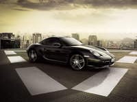 Click image for larger version

Name:	porsche-cayman-s-limited-01.jpg
Views:	4778
Size:	166.3 KB
ID:	323094