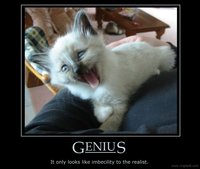 Click image for larger version

Name:	genius.jpg
Views:	130
Size:	61.6 KB
ID:	1241847