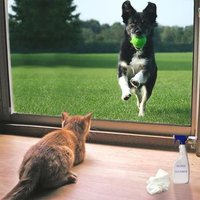 Click image for larger version

Name:	Dog vs CAt (5).JPG
Views:	163
Size:	23.7 KB
ID:	1382212