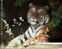 Click image for larger version

Name:	tiger.JPG
Views:	47
Size:	213.9 KB
ID:	1572668