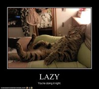 Click image for larger version

Name:	lazy-cat.jpg
Views:	47
Size:	25.6 KB
ID:	1836324