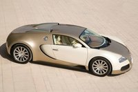 Click image for larger version

Name:	Veyron_Gold_02.jpg
Views:	2039
Size:	118.4 KB
ID:	879078
