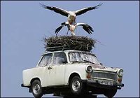 Click image for larger version

Name:	11-trabant_435.jpg
Views:	32
Size:	12.8 KB
ID:	21444
