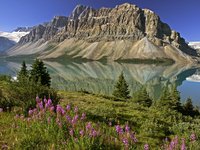 Click image for larger version

Name:	Bow_Lake_and_Flowers_Banff_National_Park_Alberta_Canada.jpg
Views:	52
Size:	617.2 KB
ID:	1333817