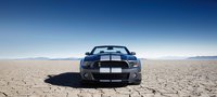 Click image for larger version

Name:	10shelbygt500_16_hr-1280.jpg
Views:	1231
Size:	180.1 KB
ID:	741022