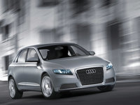 Click image for larger version

Name:	Audi_Roadjet-005.jpg
Views:	91
Size:	248.7 KB
ID:	93549