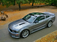 Click image for larger version

Name:	2006-Saleen-S281-Scenic-Roof-1024x768.jpg
Views:	86
Size:	316.5 KB
ID:	97578