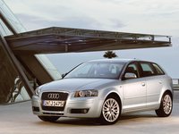 Click image for larger version

Name:	audi_a3_mic_130.jpg
Views:	119
Size:	316.7 KB
ID:	52622