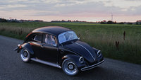 Click image for larger version

Name:	Beetle true x2.jpg
Views:	171
Size:	530.5 KB
ID:	1667966