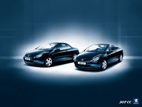 Click image for larger version

Name:	Peugeot 307 CC-01 .jpg
Views:	38
Size:	85.7 KB
ID:	1635329