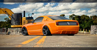 Click image for larger version

Name:	mustang vt.jpg
Views:	94
Size:	1.05 MB
ID:	1258547