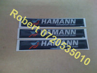 Click image for larger version

Name:	hamann1.jpg
Views:	49
Size:	143.1 KB
ID:	985270