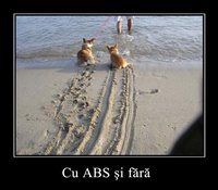 Click image for larger version

Name:	ABS.jpg
Views:	80
Size:	119.6 KB
ID:	1681629