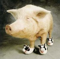 Click image for larger version

Name:	pig.jpg
Views:	156
Size:	9.2 KB
ID:	216964