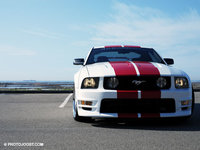 Click image for larger version

Name:	G_MUSTANG_GROOT.jpg
Views:	197
Size:	24.6 KB
ID:	73843