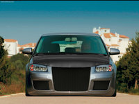 Click image for larger version

Name:	Audi-A3_3-door_2003_byBarum.jpg
Views:	157
Size:	453.9 KB
ID:	211362