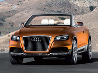 Click image for larger version

Name:	audi-cross-cabriolet-quattro-03.jpg
Views:	183
Size:	166.9 KB
ID:	390354