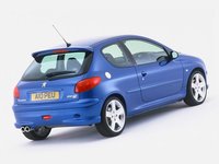 Click image for larger version

Name:	Peugeot 206RC.jpg
Views:	45
Size:	53.2 KB
ID:	127627