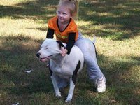 Click image for larger version

Name:	girl and her pitbull.jpg
Views:	53
Size:	32.4 KB
ID:	1246362