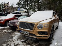 Click image for larger version

Name:	bentley-bentayga-diesel-c262924122017142126_2.jpg
Views:	76
Size:	948.5 KB
ID:	3195304