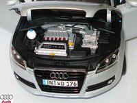 Click image for larger version

Name:	Audi_TT_Roadster_Minichamps.jpg
Views:	25
Size:	71.1 KB
ID:	2417520