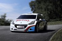 Click image for larger version

Name:	peugeot-pikes-peak-2013-1.jpg
Views:	83
Size:	282.9 KB
ID:	2746263