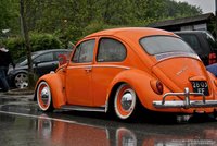 Click image for larger version

Name:	beetle 36.jpg
Views:	137
Size:	216.7 KB
ID:	2106493