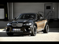 Click image for larger version

Name:	2009-AC-Schnitzer-BMW-X6-Falcon.jpg
Views:	78
Size:	394.7 KB
ID:	1921268