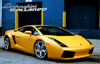 Click image for larger version

Name:	gallardo-1_221.jpg
Views:	72
Size:	136.1 KB
ID:	51897