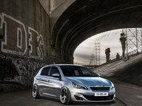 Click image for larger version

Name:	peugeot 308 wip.jpg
Views:	18
Size:	1.12 MB
ID:	2941758