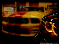 Click image for larger version

Name:	Mustang3.jpg
Views:	84
Size:	103.0 KB
ID:	253508