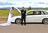 Click image for larger version

Name:	funny-weddings-18.jpg
Views:	253
Size:	39.4 KB
ID:	1735847