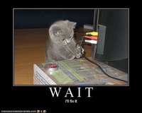 Click image for larger version

Name:	funny-pictures-kitten-will-fix-it.jpg
Views:	160
Size:	33.8 KB
ID:	980252