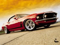 Click image for larger version

Name:	mustang_boss.jpg
Views:	530
Size:	95.9 KB
ID:	10947