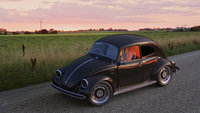 Click image for larger version

Name:	Beetle true.jpg
Views:	183
Size:	3.08 MB
ID:	1667967