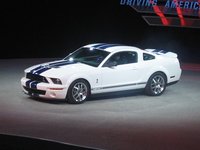 Click image for larger version

Name:	gt500show4_293.jpg
Views:	45
Size:	36.5 KB
ID:	61216