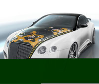 Click image for larger version

Name:	TETSU-Bentley-Continental-GTR.jpg
Views:	125
Size:	156.9 KB
ID:	639481