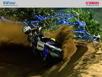 Click image for larger version

Name:	YZ2501(1024).jpg
Views:	99
Size:	274.2 KB
ID:	390069