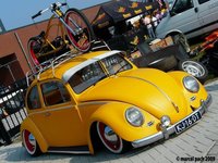 Click image for larger version

Name:	12527yellowbug1.jpg
Views:	51
Size:	105.4 KB
ID:	1485317