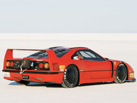 Click image for larger version

Name:	eurp_0802_01_z_1992_ferrari_f40_backside.jpg
Views:	349
Size:	43.5 KB
ID:	500401