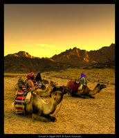 Click image for larger version

Name:	Sunset_in_Egypt_HDR_by_cienki777.jpg
Views:	155
Size:	1.81 MB
ID:	852789