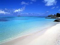 Click image for larger version

Name:	tropical-sea-wallpaper.jpg
Views:	36
Size:	125.1 KB
ID:	1038740
