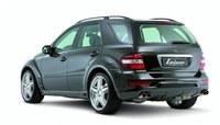Click image for larger version

Name:	Lorinser-package-for-Mercedes-M-Class-Facelift-630x360.jpg
Views:	376
Size:	43.5 KB
ID:	1136896